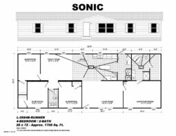 Live Oak Runner L-2864B