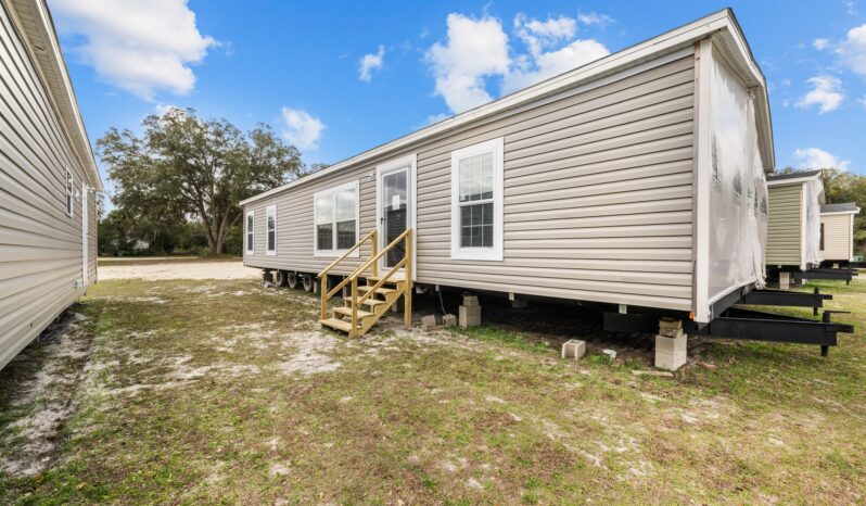 Live Oak Signature L-2523B full